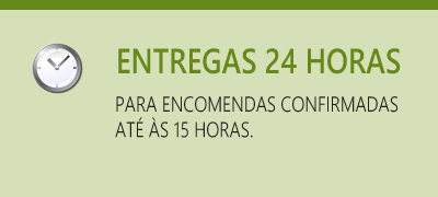 entregas em 24 horas